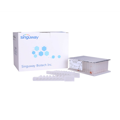 Kit Pemurnian DNA Virus Asam Nukleat Manik-manik Magnetik Kit Pemurnian RNA Singuway