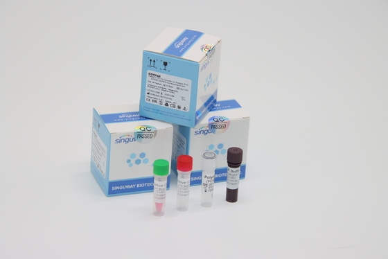 Lab Menggunakan RT PCR Covid Tes Kit Clinical LP Virus PCR Media Kit Sampel Mengusap Ganda