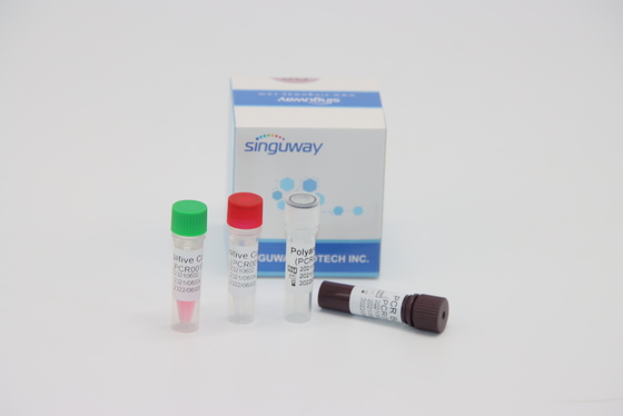 Diagnosis Molekuler Kuantitatif Kit Tes RT PCR Waktu Nyata Untuk Virus Tox HPV