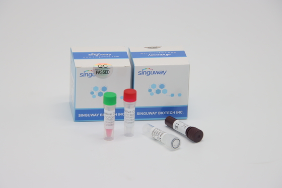 Kit Uji RT PCR Cepat Fluoresen Kuantitatif Untuk Pengujian Virus HFMD