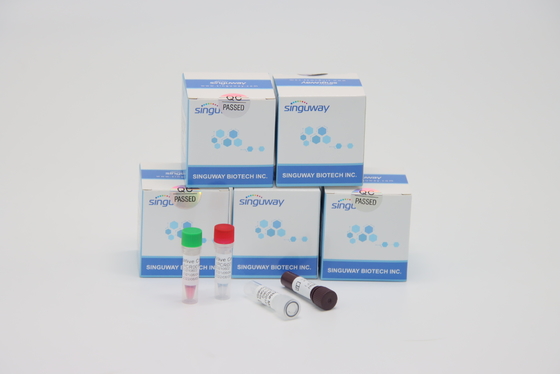 Lab sangat cepat Thalassemia Virus RT PCR Tesing Kit Menggunakan Kit PCR TB