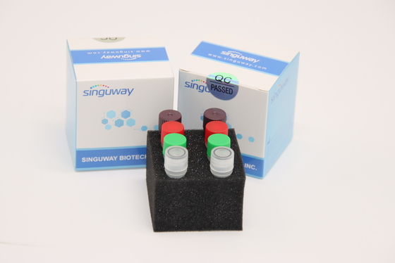 Berpendar Real Time HCV RT PCR Kit Laboratorium Uji HSV2 Menggunakan CE