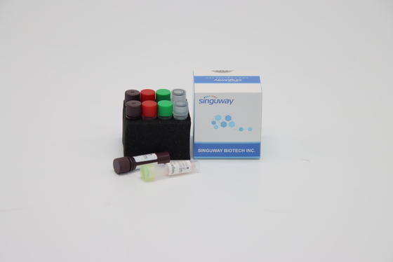 CE One Step Real Time PCR Kit Kit Tes Cepat HSV Untuk Virus Hepatitis B