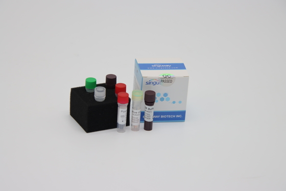 Laboratorium Multiplex Fast Real Time RT PCR Detection Kit Reagen Untuk Deteksi Virus Sars