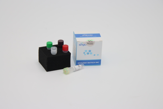 HIFi Polymerase DNA Reverse Transcription PCR Kit Reagen RT PCR Singuway