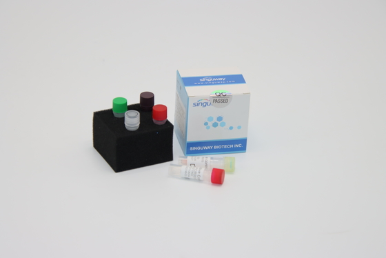 Reagen Kit Deteksi DNA PCR Virus Rabies sangat cepat Diperlukan Untuk PCR