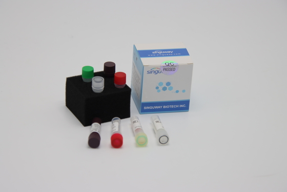Kit Pengujian RT PCR Virus Avian Influenza 48 96 Tes Kit Tes Mengusap Hidung