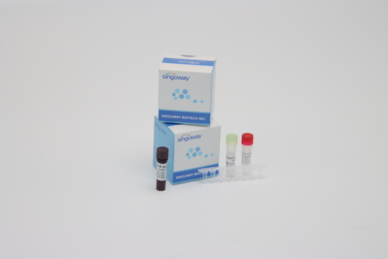 Multipleks Super Sensitif Real Time PCR Kit Reagen Deteksi Asam Nukleat Coronavirus