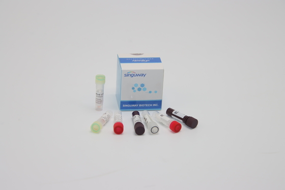 ORF1ab HPV PCR Detection Kit Pengujian Genetik Asam Nukleat Untuk Diagnosis Klinis