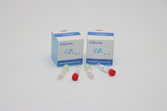 CE PCR Mengusap Tes Kit Kit Tes Hepatitis B Dan C Diagnosis Klinis
