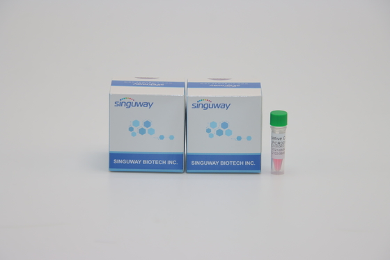 Reagen Lab Kit RT PCR Cepat Satu Langkah Presisi Tinggi Untuk Helicobacter Pylori HP