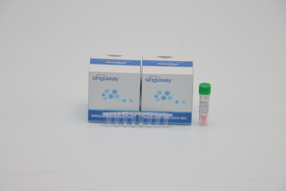 Lab POCT IVD Mycobacterium Tabungrculosis TB PCR Detection Kit Pengujian DNA ISO9001
