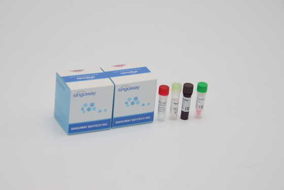Alpha Beta Delta Gamma Mutations One Step QPCR Kit Lisan Mengusap Untuk Penggunaan Lab