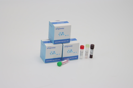 Kit Deteksi PCR Sensitivitas Tinggi Alpha Beta Delta Gamma Mutations For Lab Using