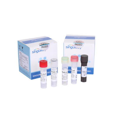 Kit Tes RT PCR sangat cepat Sangat Sensitif Kit Deteksi RT PCR Probe Berpendar