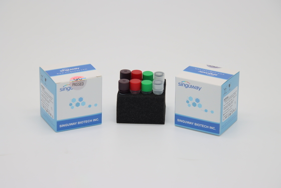 H1N1 Rabies Virus RT PCR Tes Kit Koleksi IVD Super Sensitif Untuk Rumah Sakit