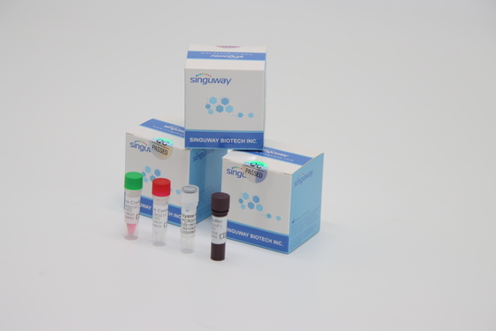 Lab Reagen RT PCR Tes Kit Stabilitas Tinggi Untuk Deteksi VZV Virus Varicella Zoster