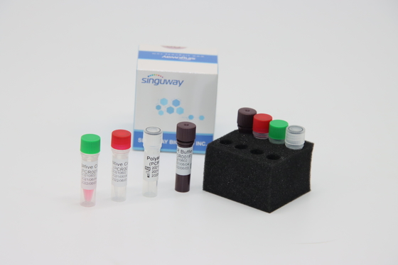Lisan Mengusap Kit Pengumpulan RT PCR yang Sangat Akurat, Reagen Lab IVD Untuk Pengujian Virus ADV