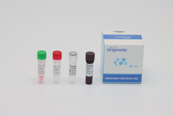 CMV Virus RT PCR Tes Kit Pengujian Asam Nukleat Waktu Nyata ISO13485