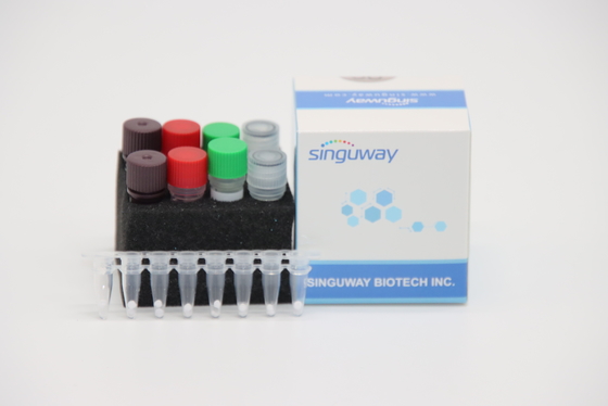 Kit RT PCR Kuantitatif Kuantitatif IVD Untuk Virus Avian Influenza A Virus H7N9