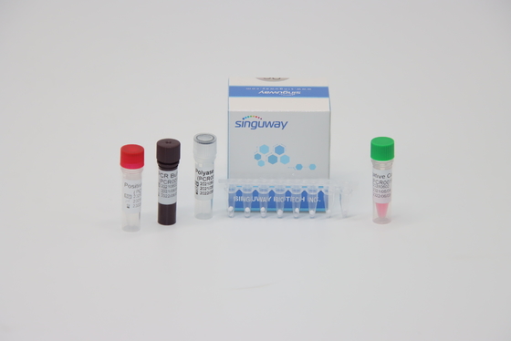 HPV 16 18 Virus Tes Asam Nukleat RT PCR Tes Kit ISO13485
