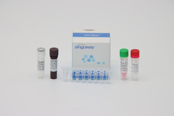 Kit Tes RT PCR Virus Dengue Akurat 48 96 Tes Per Kit Volume Reaksi 20uL