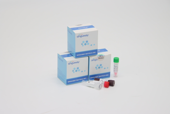Cepat RSV Virus Instan RT PCR Tes Kit POCT IVD Diagnosis Klinis Presisi Tinggi