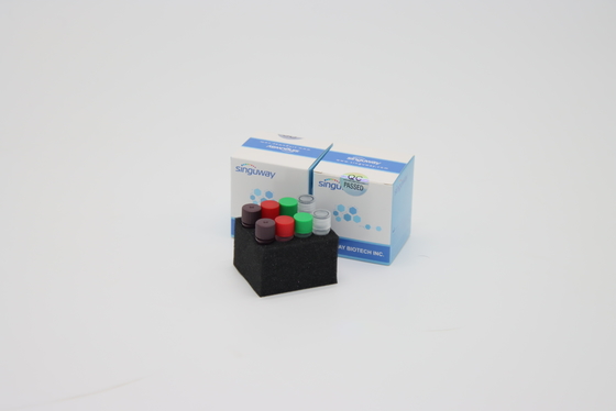 Sensitivitas Tinggi 6 Saluran Multiplex Real Time Pcr Kit Untuk Pengujian Mutasi Covid 19