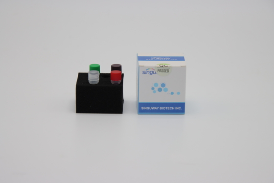 Tes Cepat FluA FluB Instan RT PCR Tes Kit Kit Tes Asam Nukleat Singuway