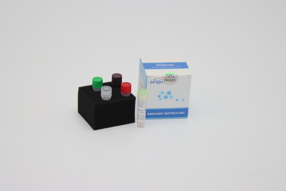 HBV HCV Real Time PCR Detection Kit Kit Amplifikasi PCR Volume Reaksi 20uL
