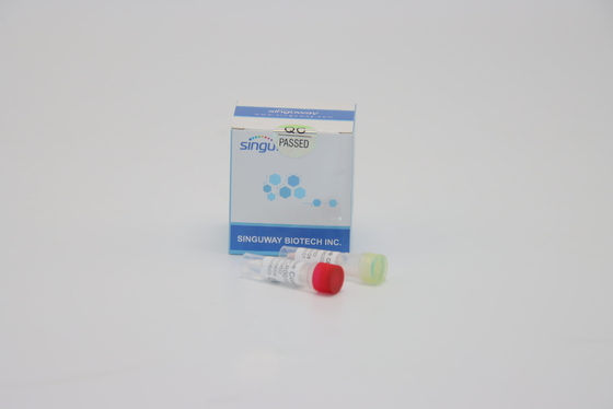 Uji Asam Nukleat Kit Dengue RT PCR Kit Hidung Mengusap Berpendar RT PCR Kit
