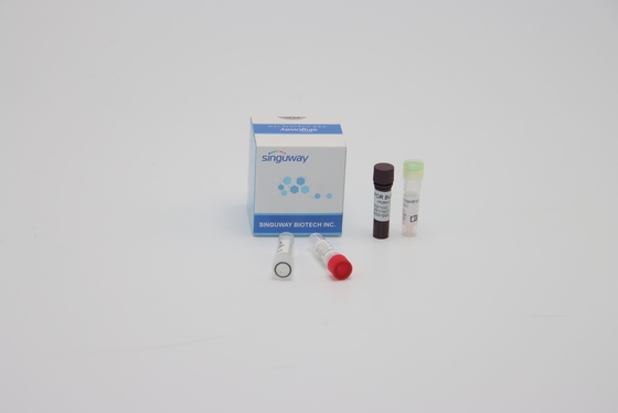 Sampel Lisan Mengusap Reagen Reaksi PCR Multipleks Kuantitatif ISO13485