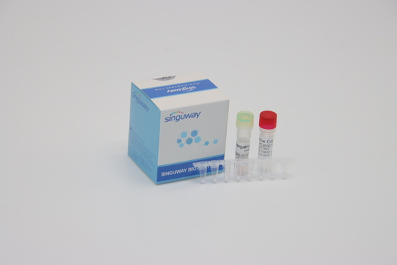 Diagnosis Klinis IVD Real Time PCR Reagen Fluoresensi Menyelidiki Satu Langkah PCR Kit