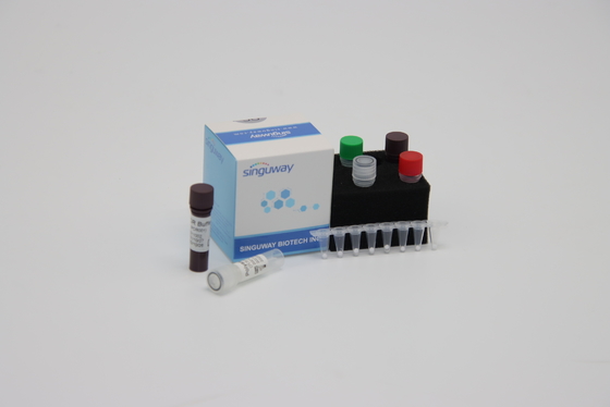 Diagnosis Molekuler Kit Deteksi PCR Kuantitatif Reagen ISO13485 Dalam 30 Menit