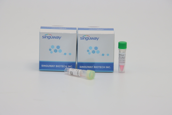 Kit Deteksi PCR Virus Singuway HSV II Berpendar Kuantitatif Untuk Pengujian Genetik