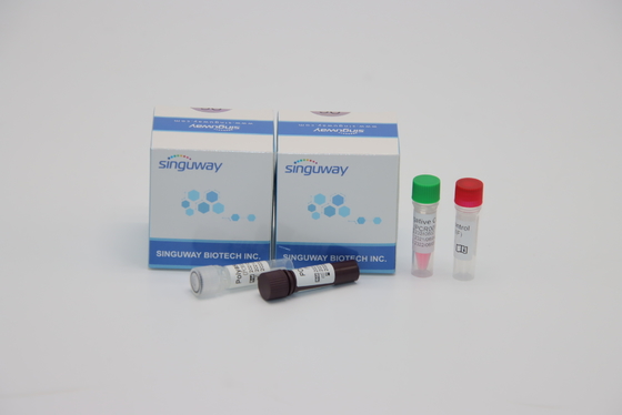 Fluoresensi Probing PCR Detection Kit Sampel Nasal Mengusap Untuk Pengujian ADV Adenovirus