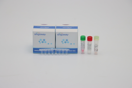 Flu A Flu B Satu Langkah Kit PCR Waktu Nyata Sangat Sensitif 96 Tes Kit Tes PCR HIV