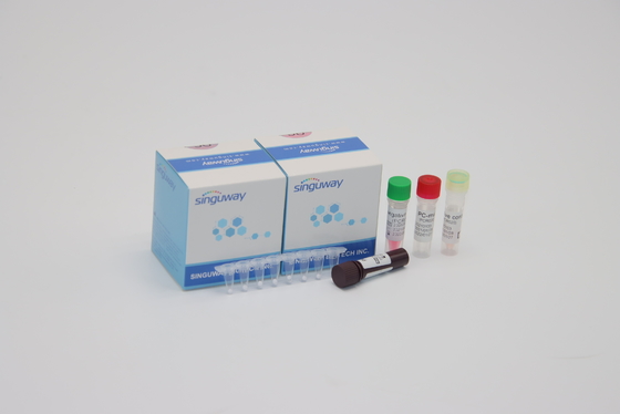Pernapasan Syncytial Viral RT PCR Kit Diagnostik Kit Deteksi RSV PCR Nasal Mengusap
