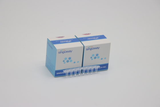 Stabilitas Tinggi HCV Real Time PCR Kit HBV Hepatitis B Cepat Tes Kit Reagen Lab ISO13485