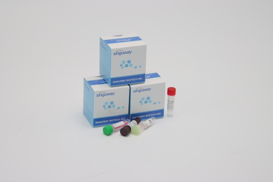 CE Coronavirus Tes Real Time PCR Diagnostic Kits sangat cepat Dalam 30 Menit