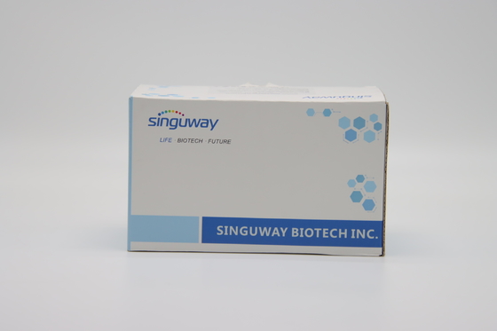 Kit Pemurnian RNA Viral Sensitif Magnetic Bead Kit Asam Nukleat Viral Murni Tinggi