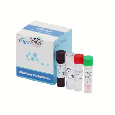 Kit Deteksi PCR Waktu Nyata Covid-19 Presisi Tinggi Probe Neon 50 Salinan/Ml