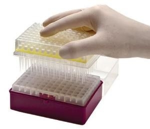 Lab Tip Pipet PCR Sekali Pakai Tip Mikropipet Sekali Pakai 10-1250μL