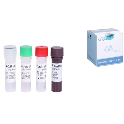 Virus Hepatitis C RNA HCV Rapid Test Kit Kuantitatif HCV RT PCR Kit