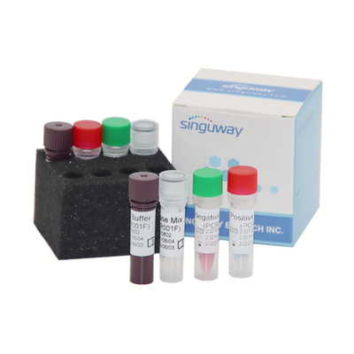 Beranda Alat Uji Gen MTHFR Kualitatif 50uL Volume 2000 Sensitivitas Salinan/ML