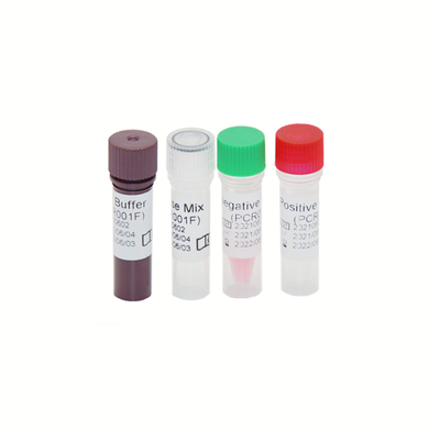 HBV HCV HIV-1 Genome RT PCR Test Kit Sensitivitas Tinggi 30 IU/ML