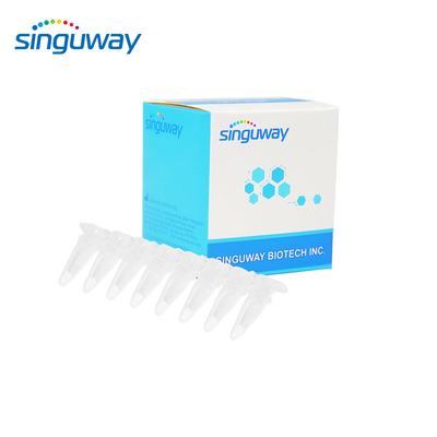 15 Jenis Kit PCR Waktu Nyata HPV 40uL Kit PCR HPV Kualitatif Untuk Manusia